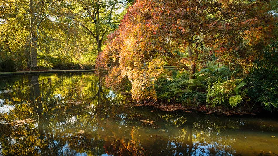 Exbury Gardens Tree Care Supporters