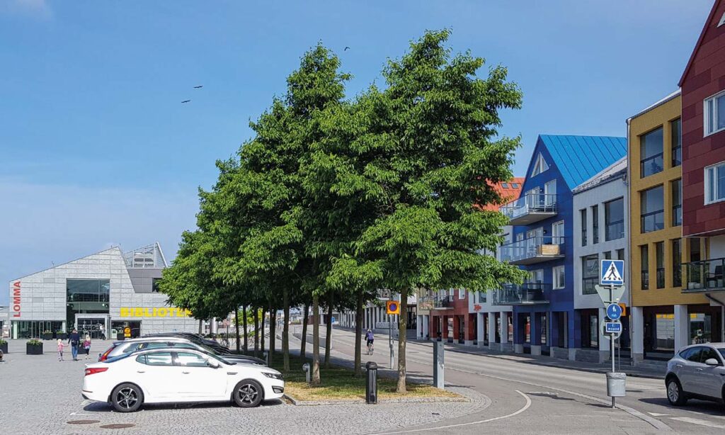 Speath alder used in an urban environment